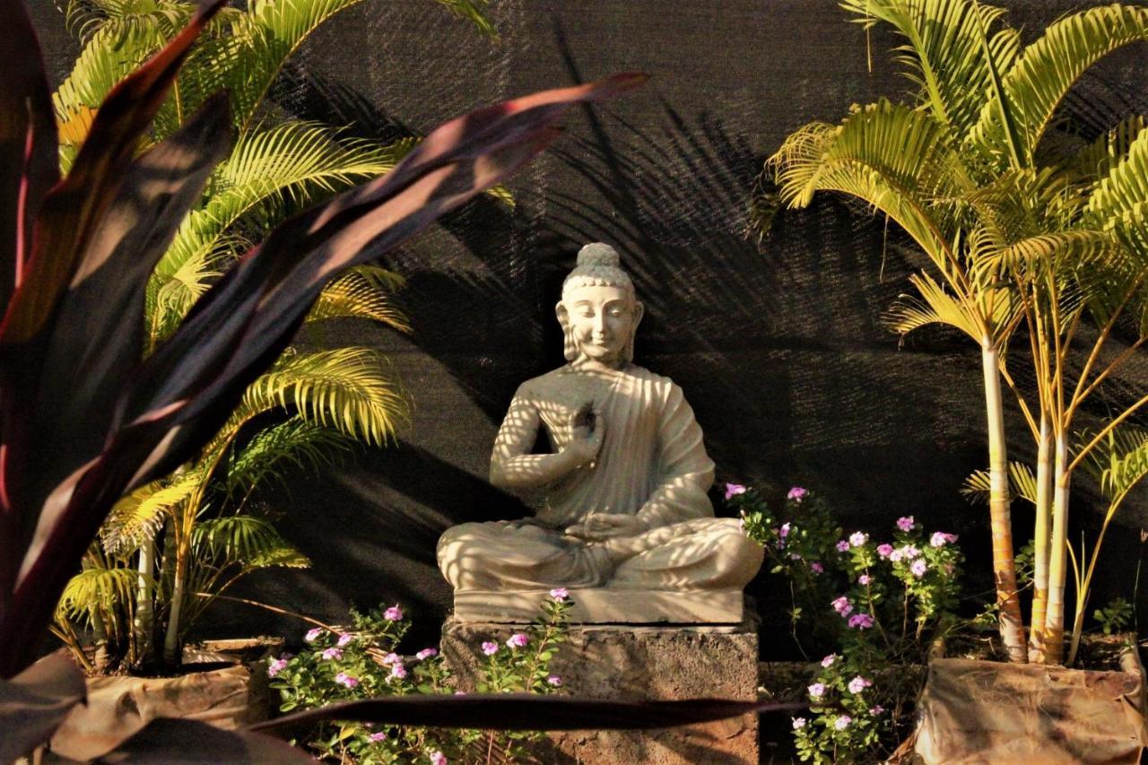 Hotel Lotus Sutra Arambol Zewnętrze zdjęcie